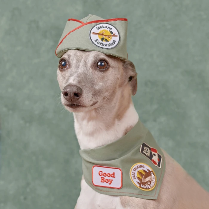 Dog Merit Badges: Nature Enthusiast