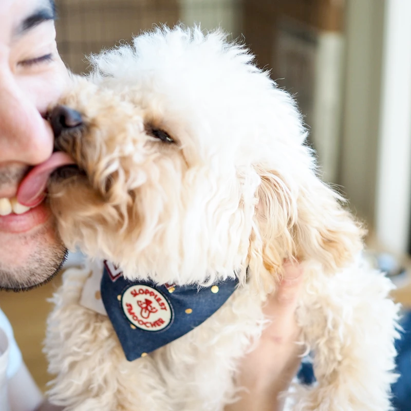 Dog Merit Badges: Sloppiest Smoocher