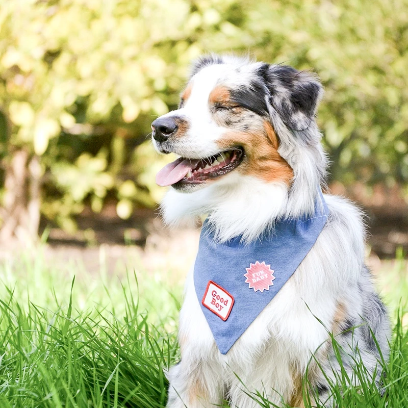 Dog Merit Badges: Good Boy
