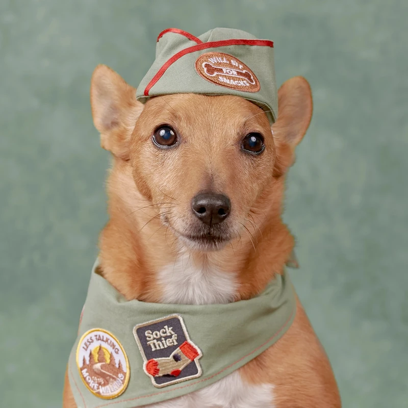 Dog Merit Badges: Sock Thief