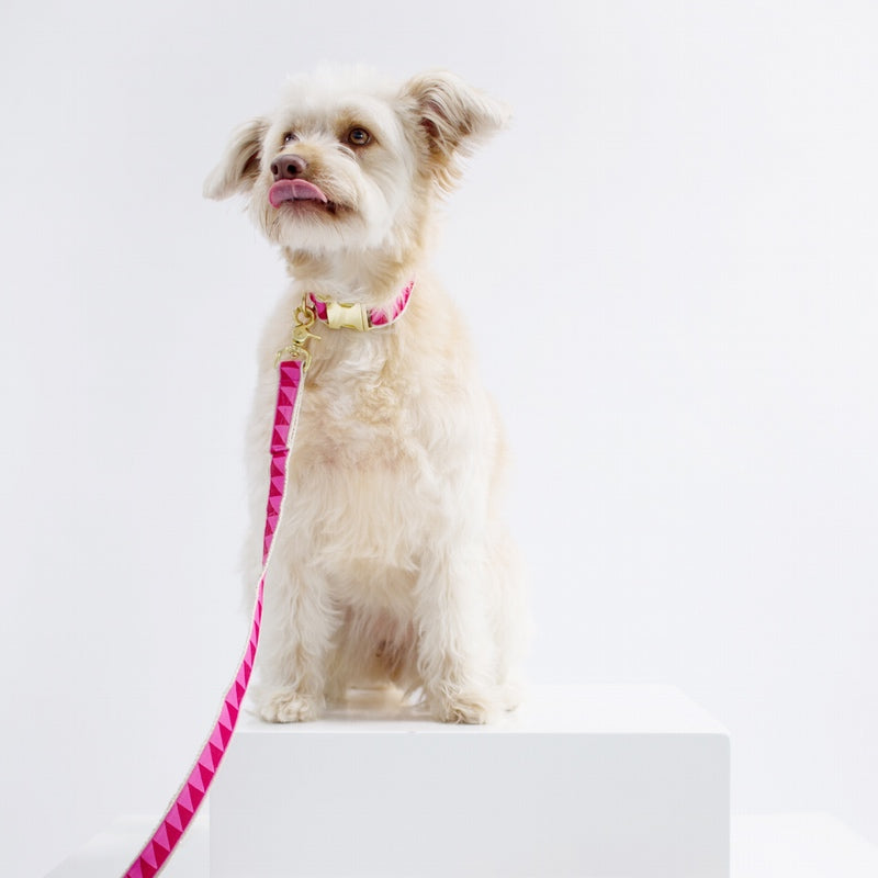 Nice Grill Dog Leash: Ruby Hot Pink