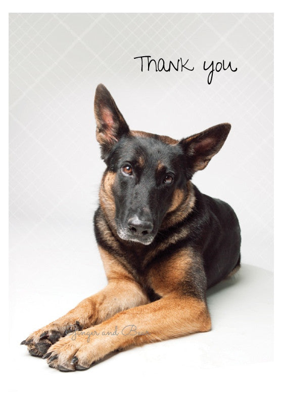Thank you Notecard box: German Shepherd