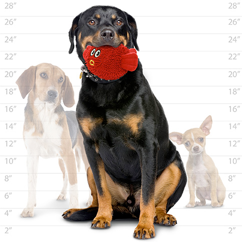 Mighty Microfibre Dog Squeaky Toy, Ball Blowfish (mini and regular size)