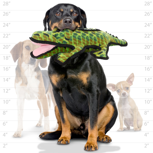 Tuffy Ocean Dog Squeaky Toys, Gary the Gator