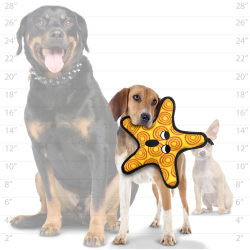 Tuffy Ocean Dog Squeaky Toys, the "General" Starfish