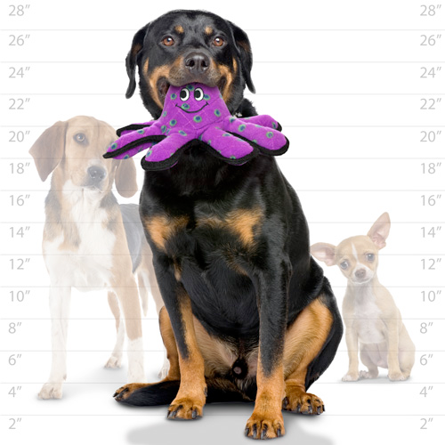 Tuffy Ocean Dog Squeaky Toys, Octopus