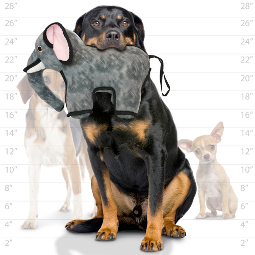 Tuffy Zoo Dog Toys, Emery Elephant