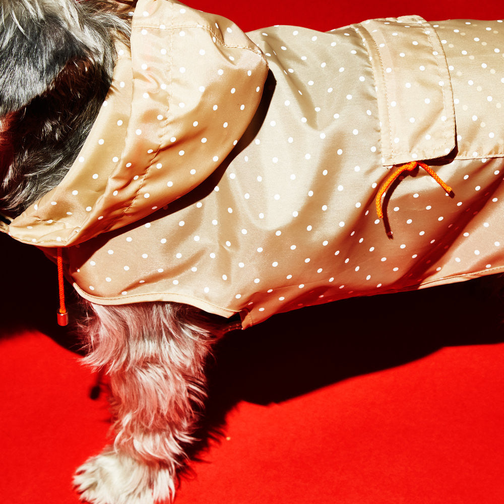 Ware of the Dog Dot Anorak Raincoat with Hood in Tan/White polka dots
