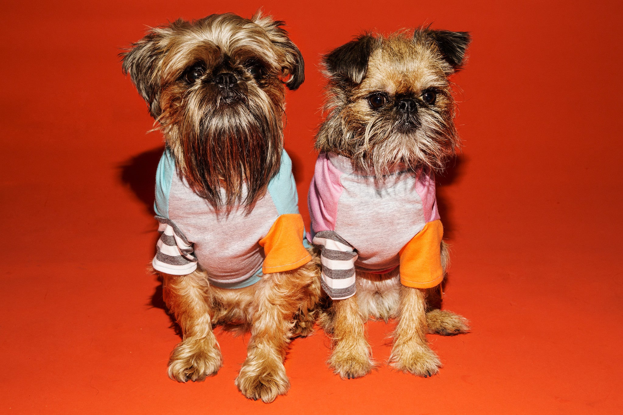 Ware of the dog ColourBlock T-shirt Aqua Pink