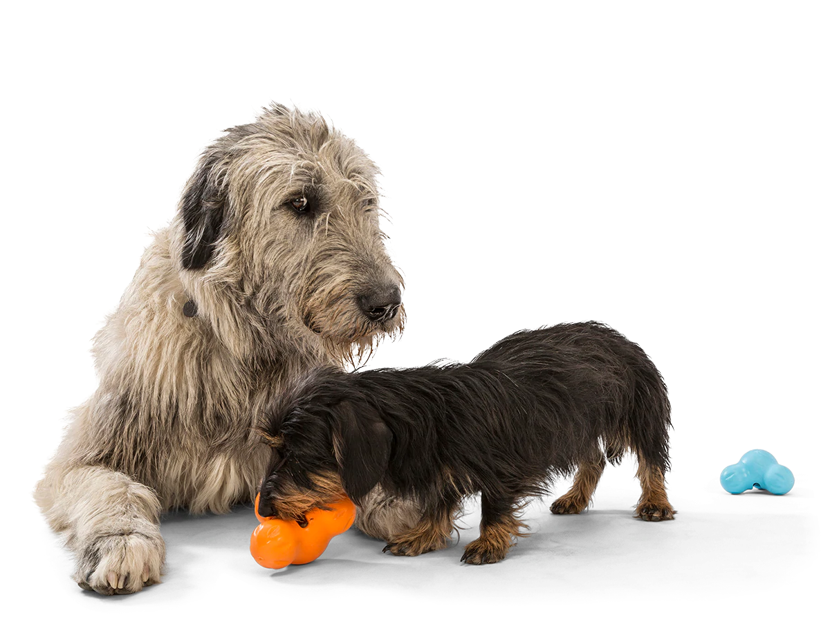 Interactive puzzle, food-dispensing dog toy, Zogoflex Tux