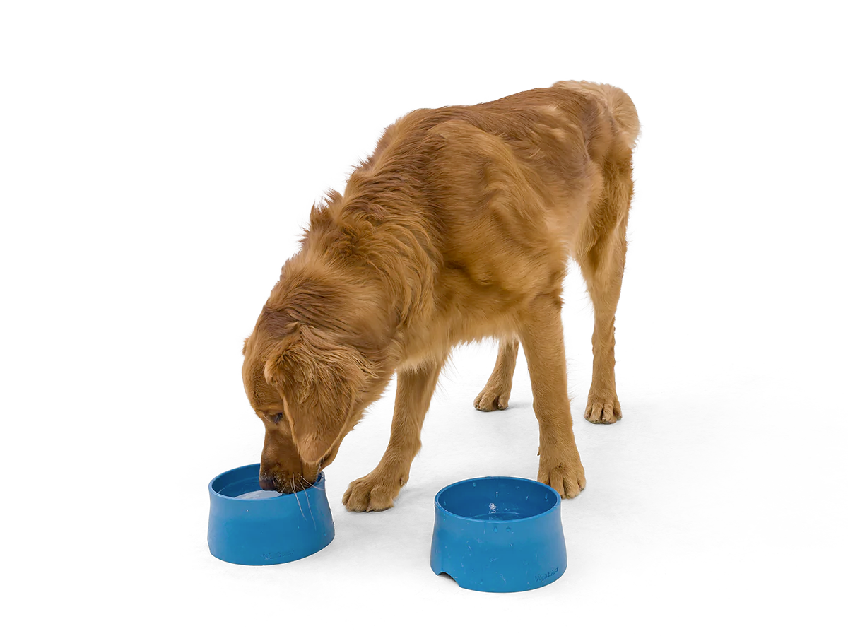 Dog Food and Drink Non-slip Eco Sustainable Bowl: Seaflex Marine