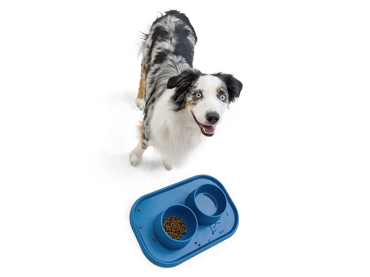 Dog Food and Drink Non-slip Eco Sustainable Bowl: Seaflex Marine