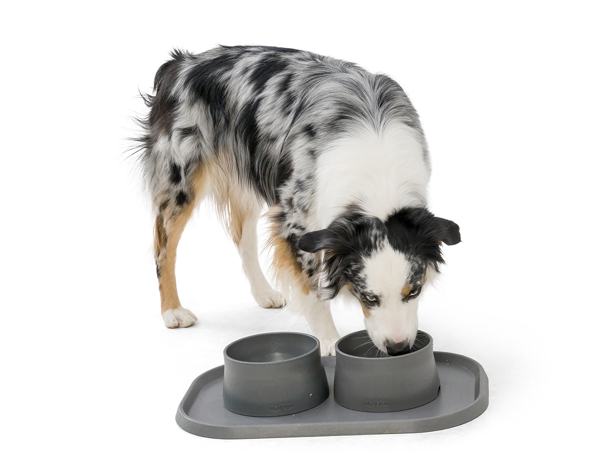 Dog Food and Drink Non-Slip Eco Sustainable Placemat: Seaflex Sea Fog