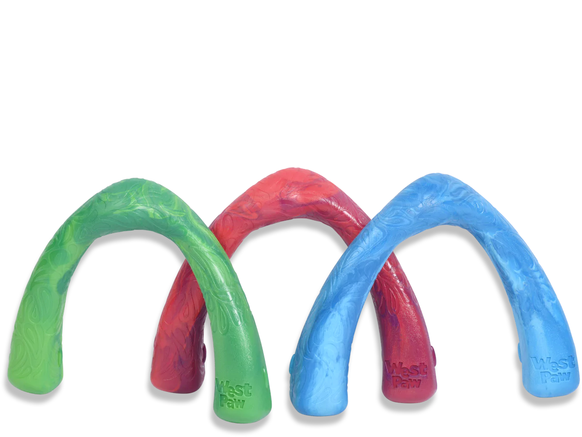 Toss and Fetch Dog toy, Seaflex Snorkl
