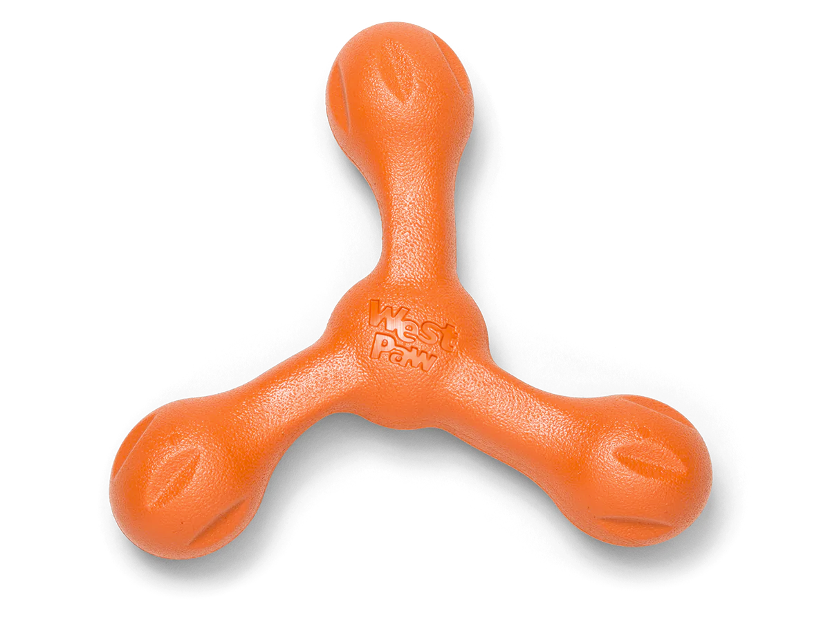 Toss and Fetch Dog toy, Zogoflex Echo Skamp