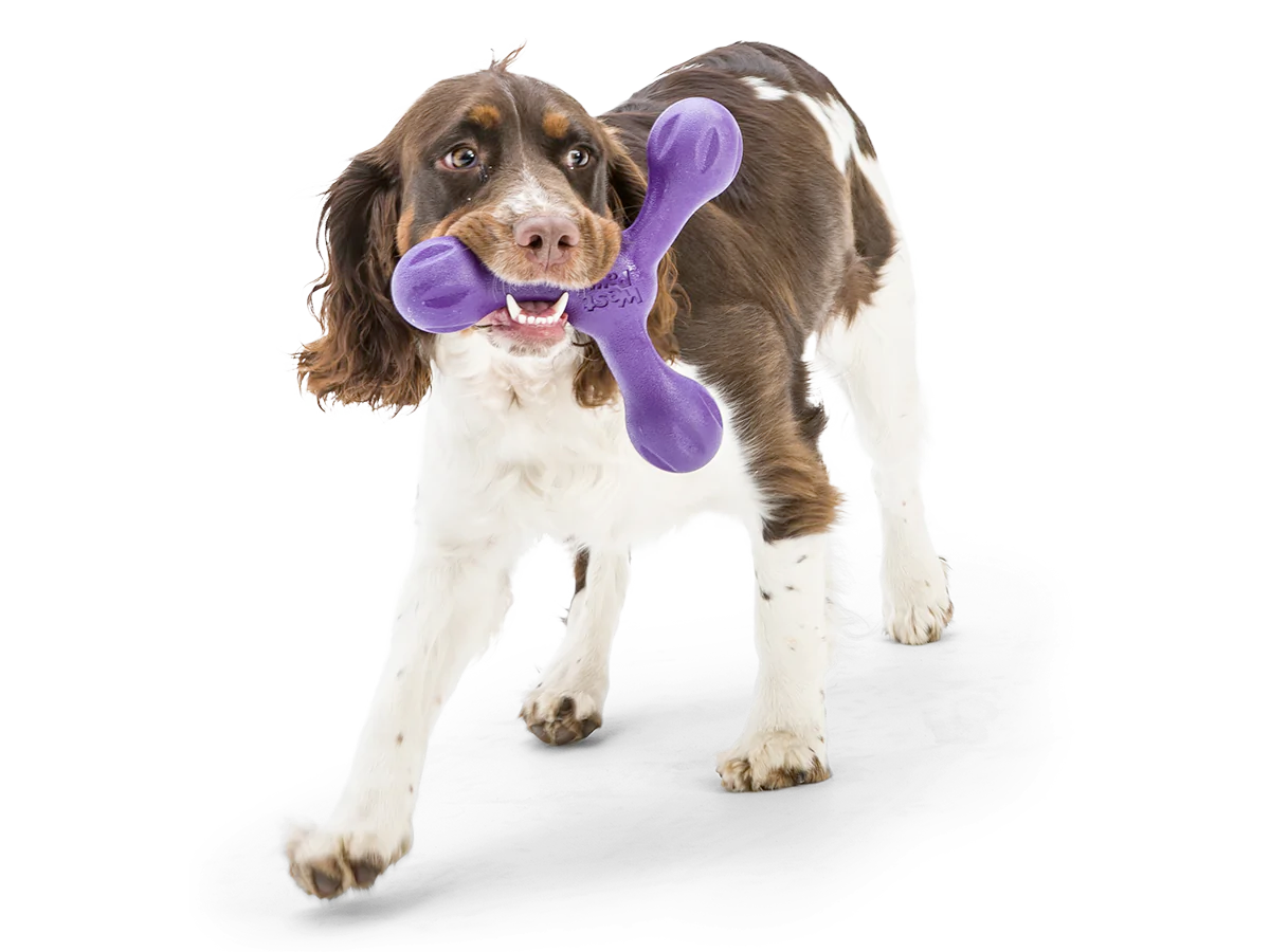 Toss and Fetch Dog toy, Zogoflex Echo Skamp
