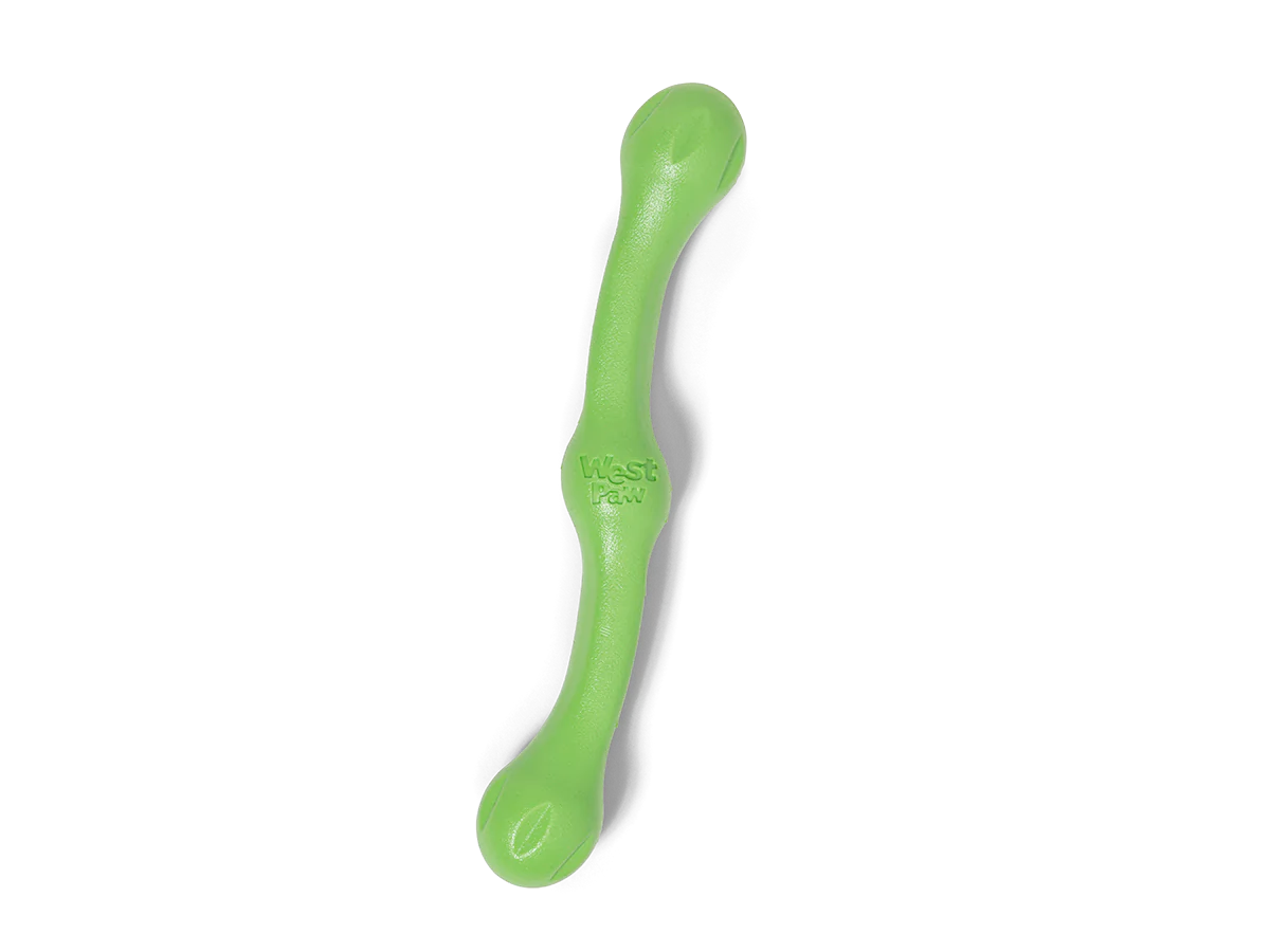 Toss and Fetch Dog toy, Zogoflex Echo Zwig
