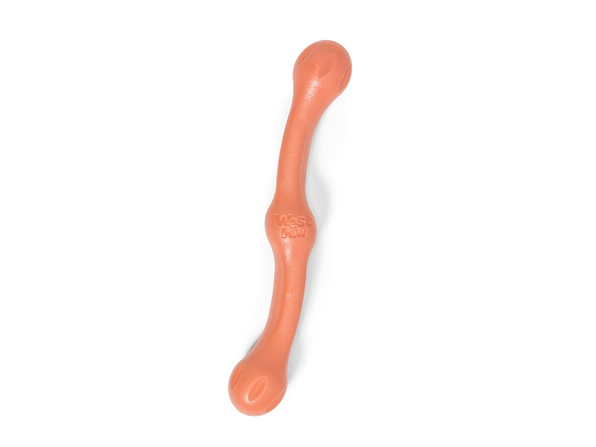 Toss and Fetch Dog toy, Zogoflex Echo Zwig