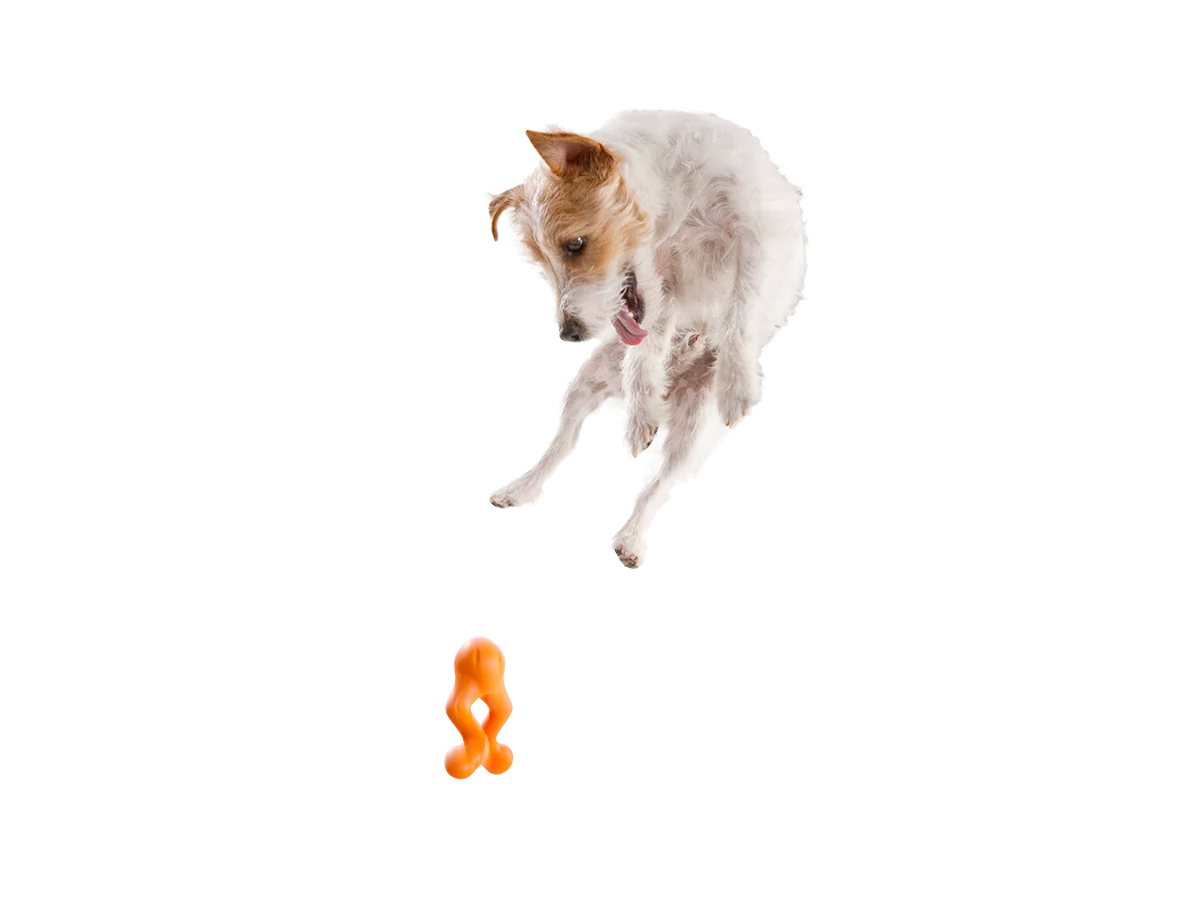 Toss and Fetch Interactive Treat Dispensing Dog toy, Zogoflex Tizzi