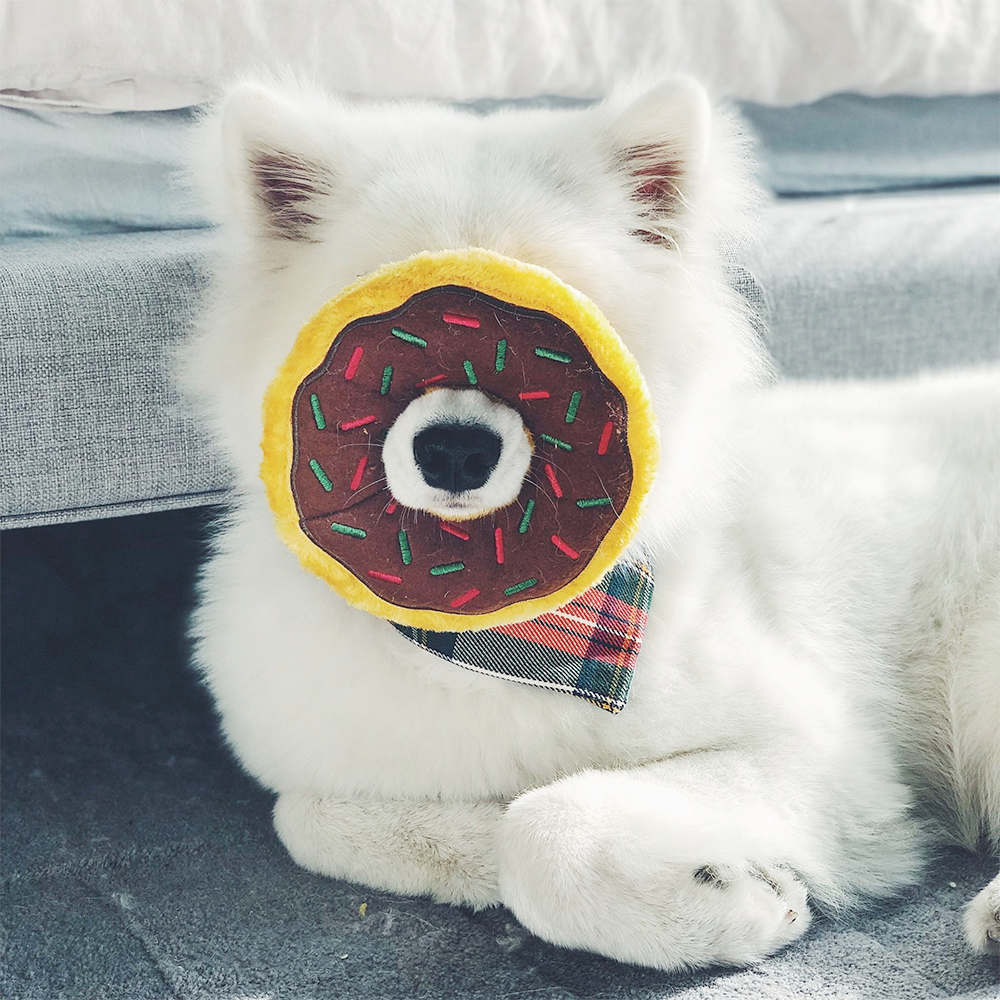 Zippy Squeaky Dog Toy, Donutz Chocolate Jumbo
