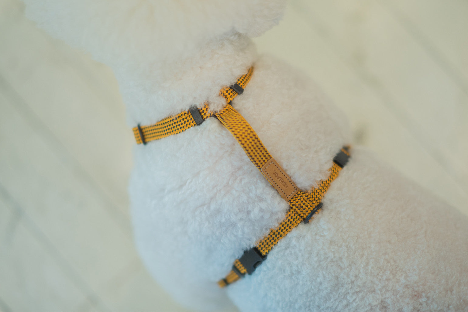 HowlPot We are Tight Harness Yellow Jacket dog