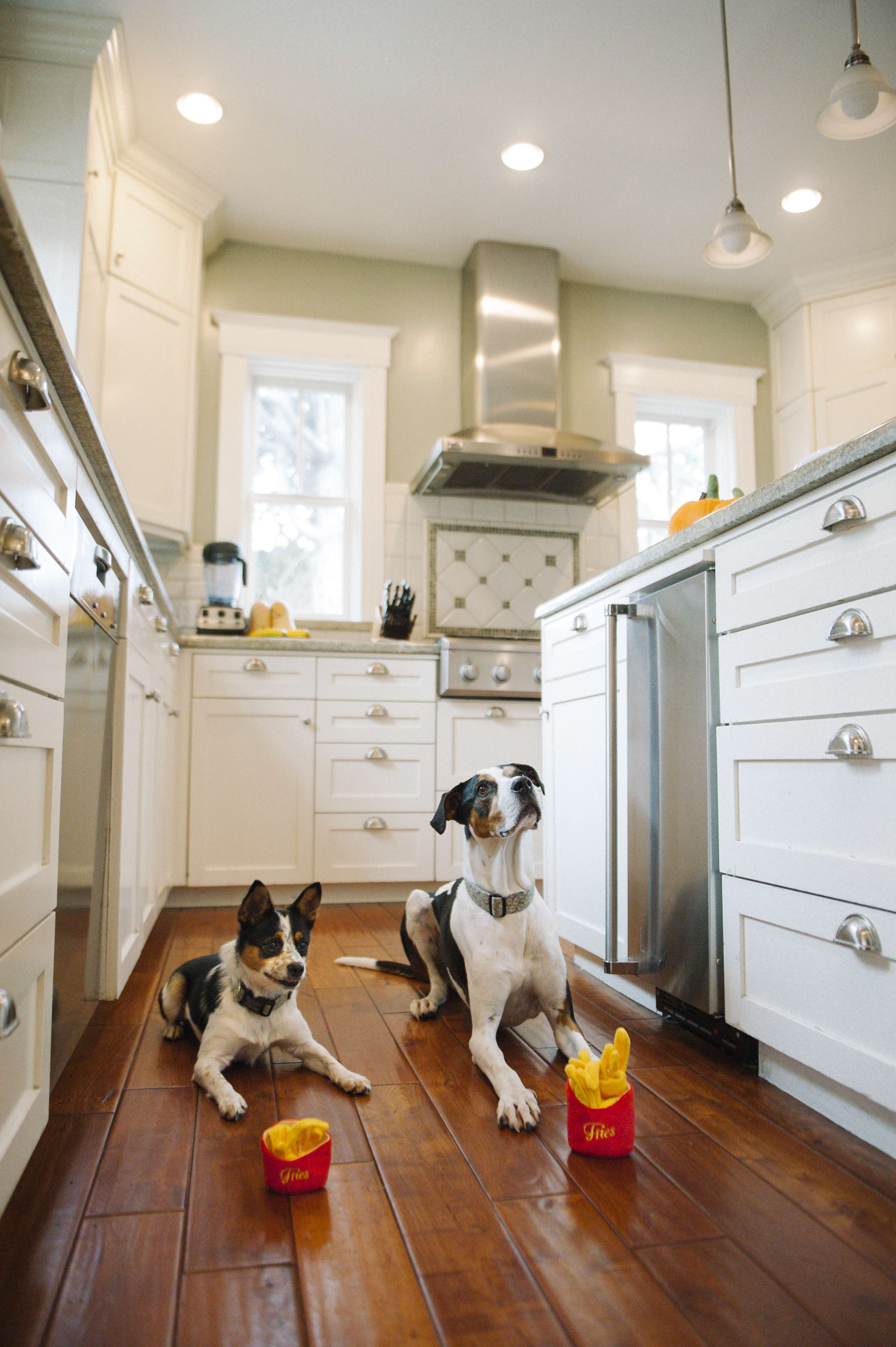 The American Classic Mini, Squeaky Plush Dog Toy