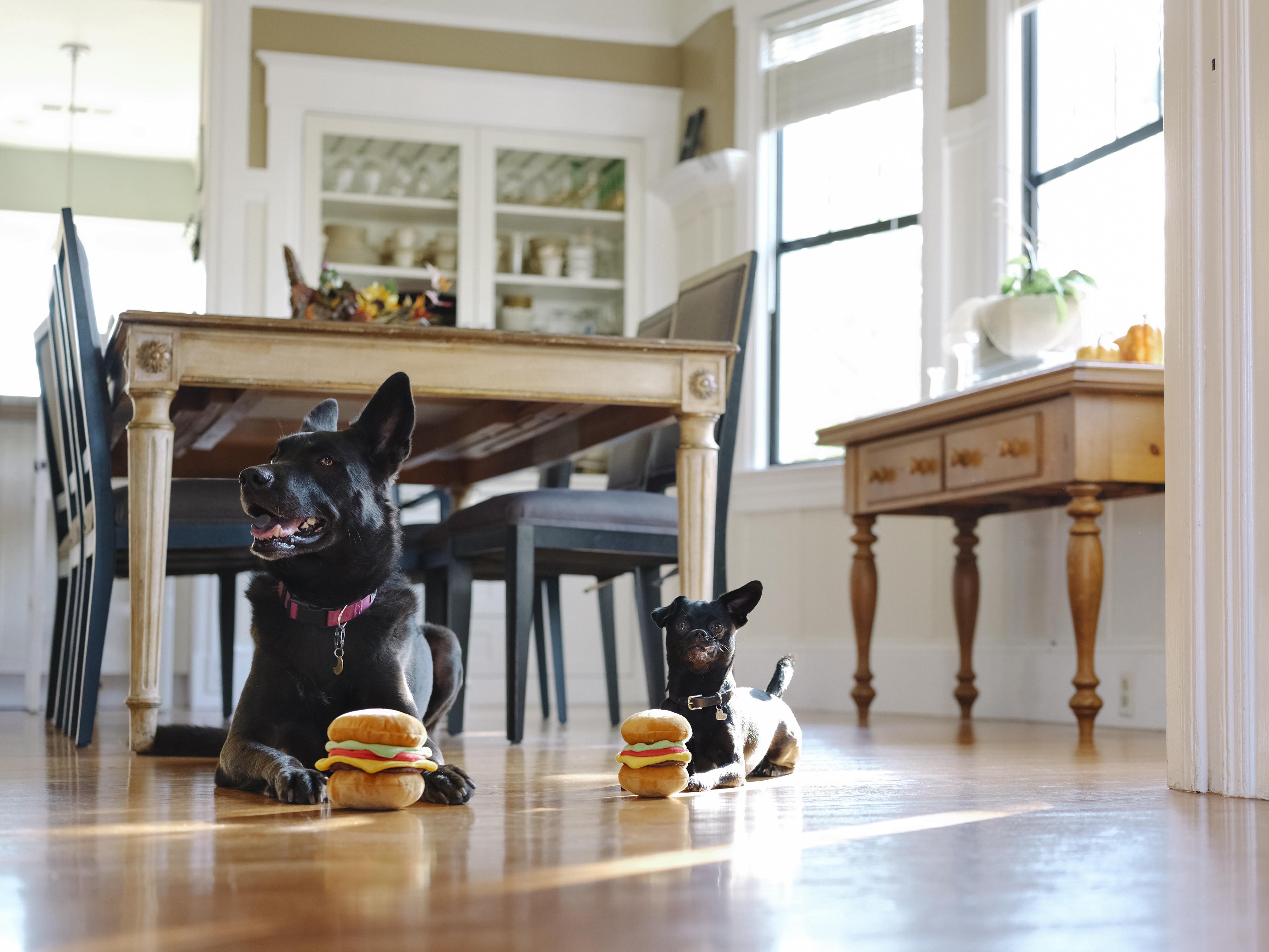 The American Classic Mini, Squeaky Plush Dog Toy