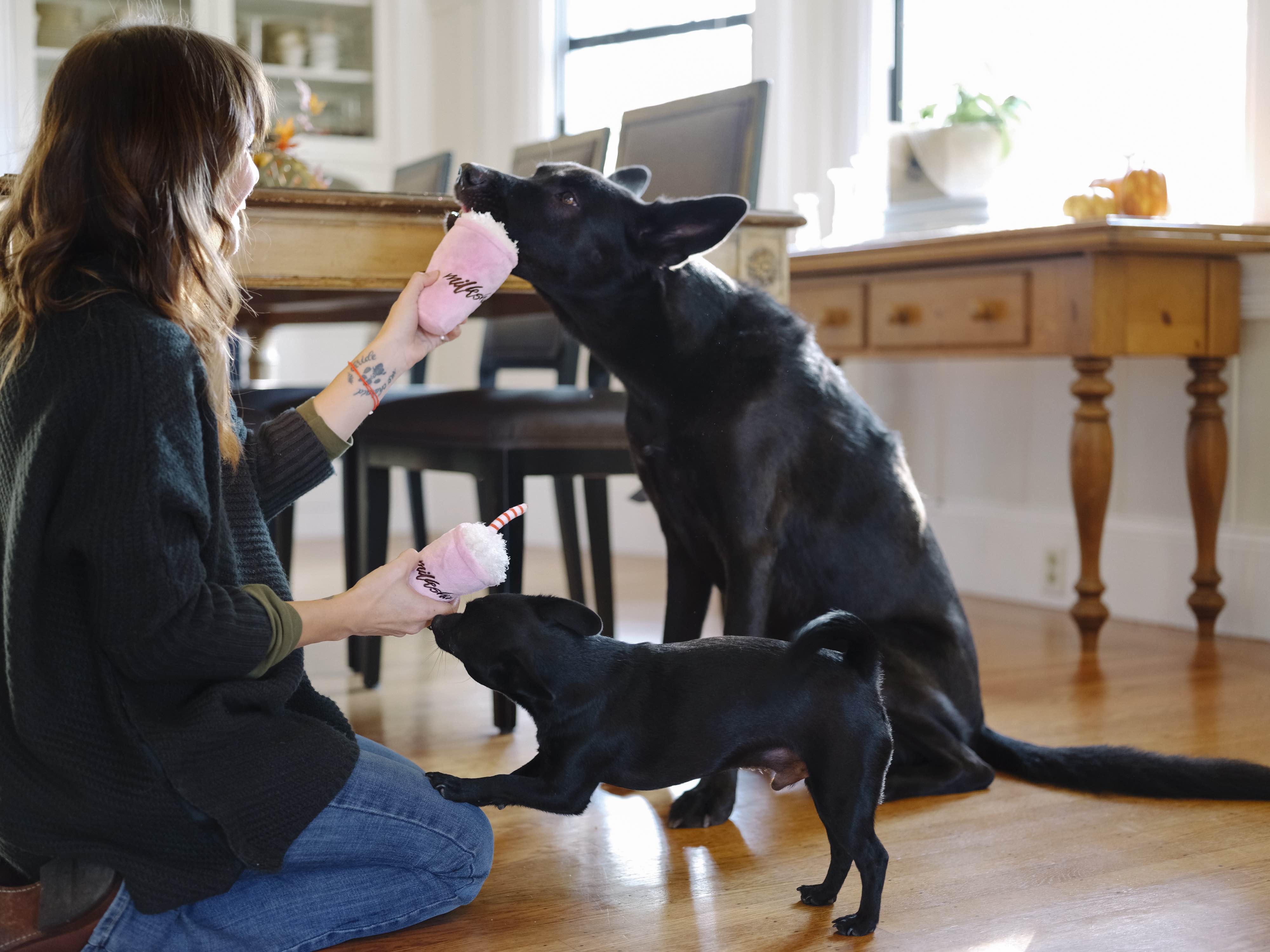 The American Classic Mini, Squeaky Plush Dog Toy