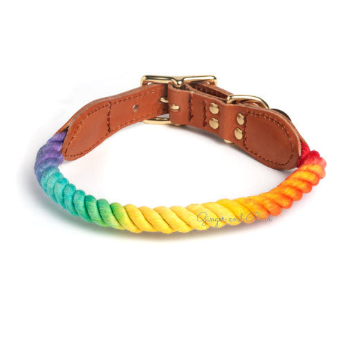 Rope and Leather Collar for Dogs and Cats, Prismatic