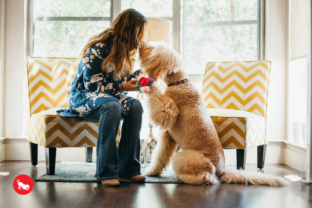 Dog Mom Gift Guide on Mother's Day