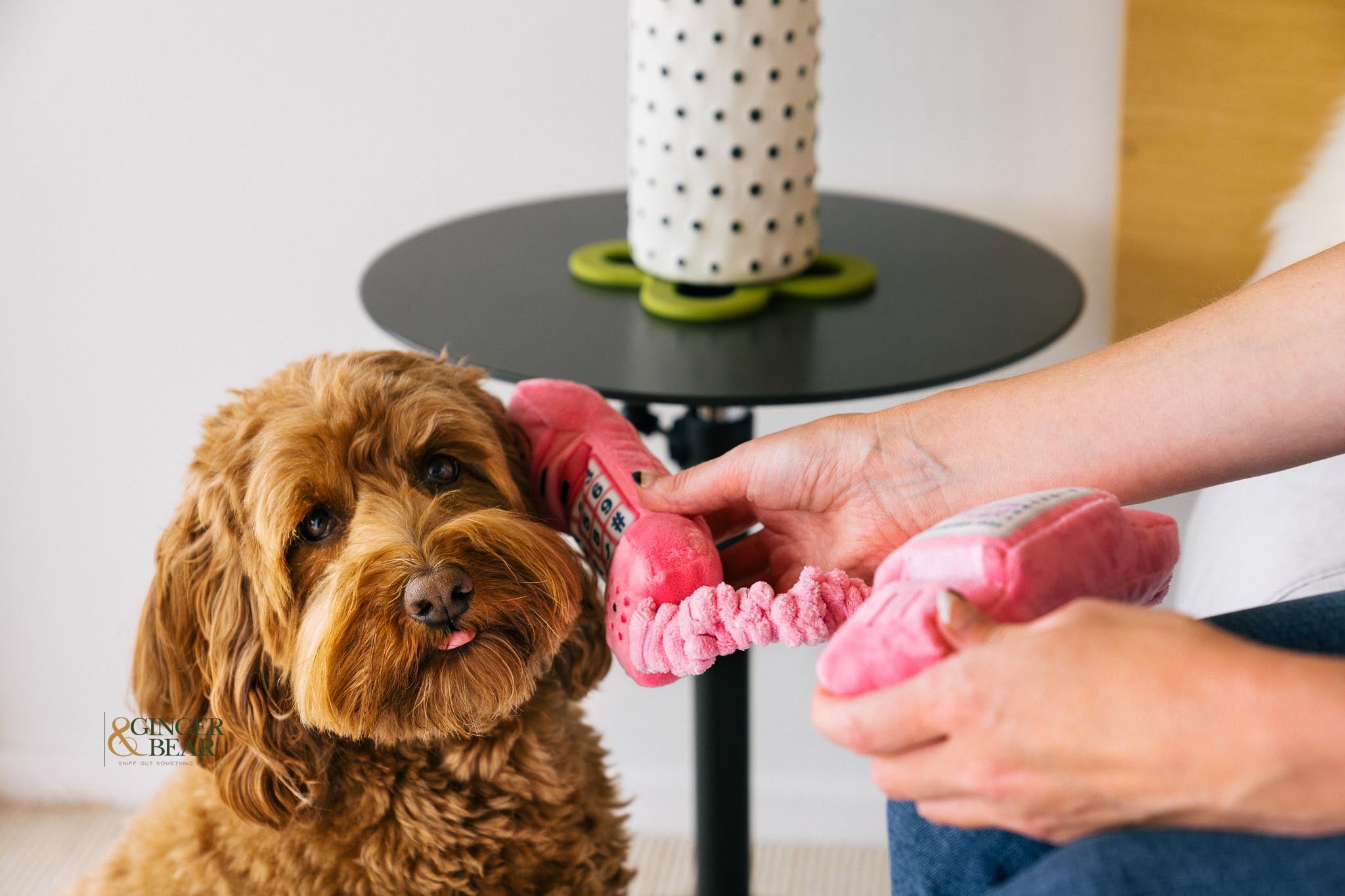 Engaging Dog Toys for Playful Pets: Explore Our Interactive Collection at Ginger and Bear