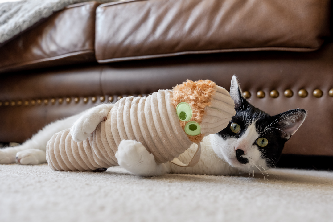 Enticing Cat Toys for Endless Feline Fun at Ginger and Bear