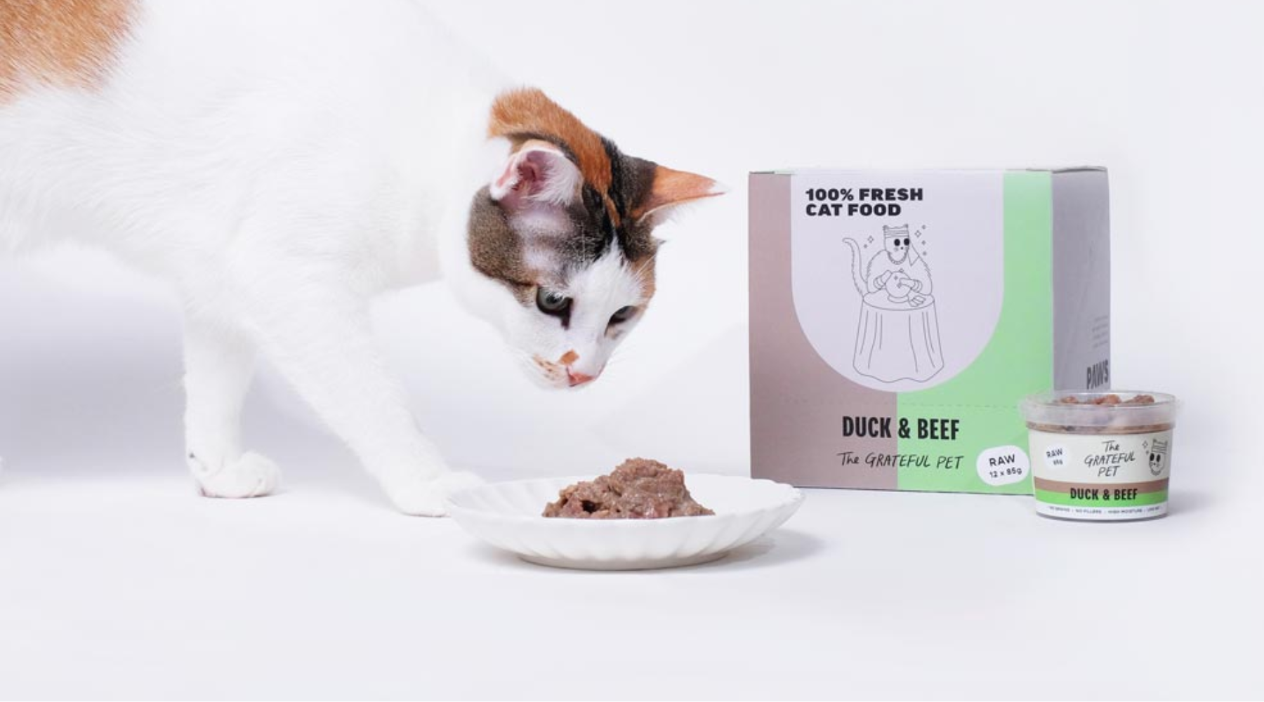 Cat Food and Meals [New!]