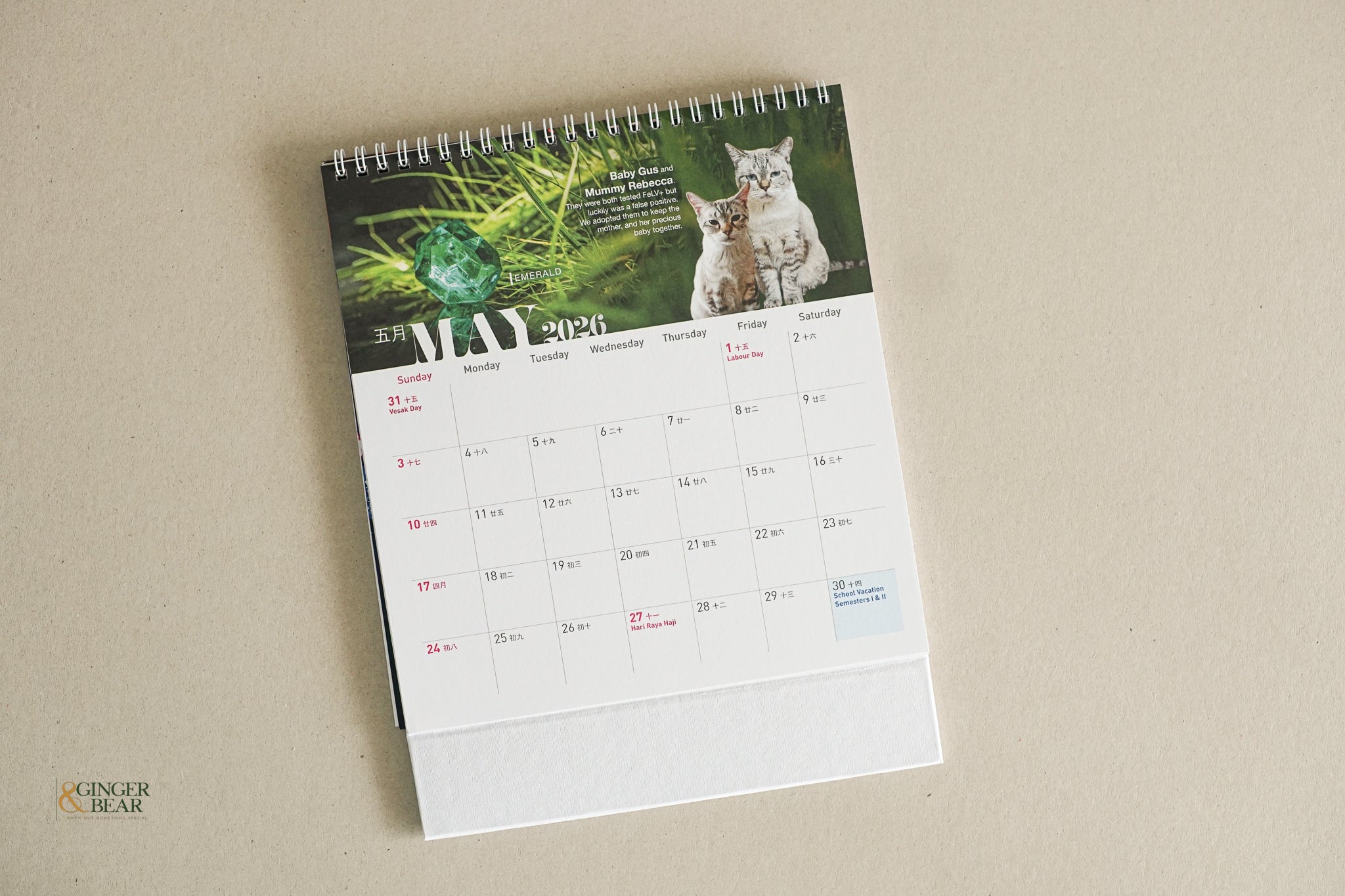 Charity calendar supporting animal rescue in Singapore