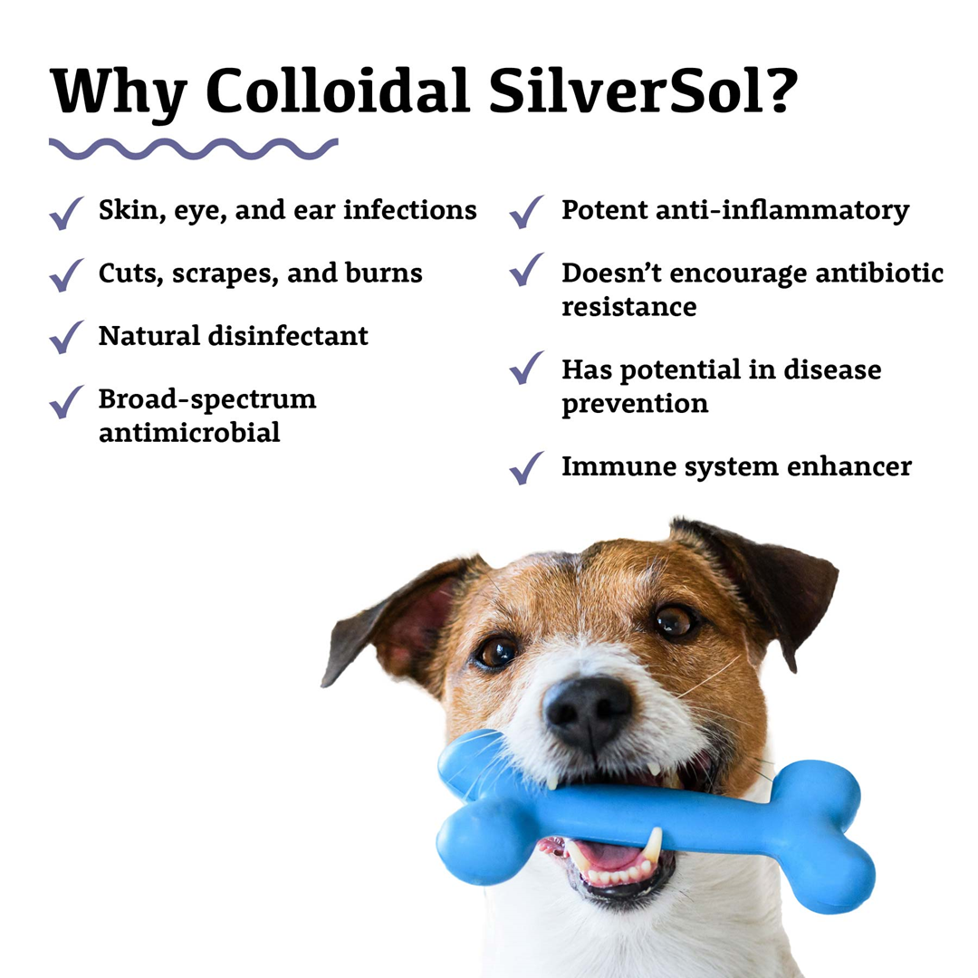 Adored Beast Supplements for Dogs and Cats, Colloidal Silversol *MRET Activated