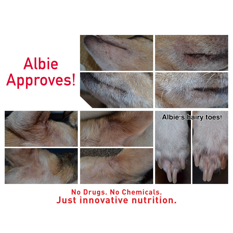 Augustine Approved Supplement for Dogs and Cats, Faith's Cleanse & Detox