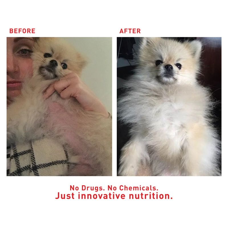 Augustine Approved Supplement for Dogs and Cats, Faith's Cleanse & Detox