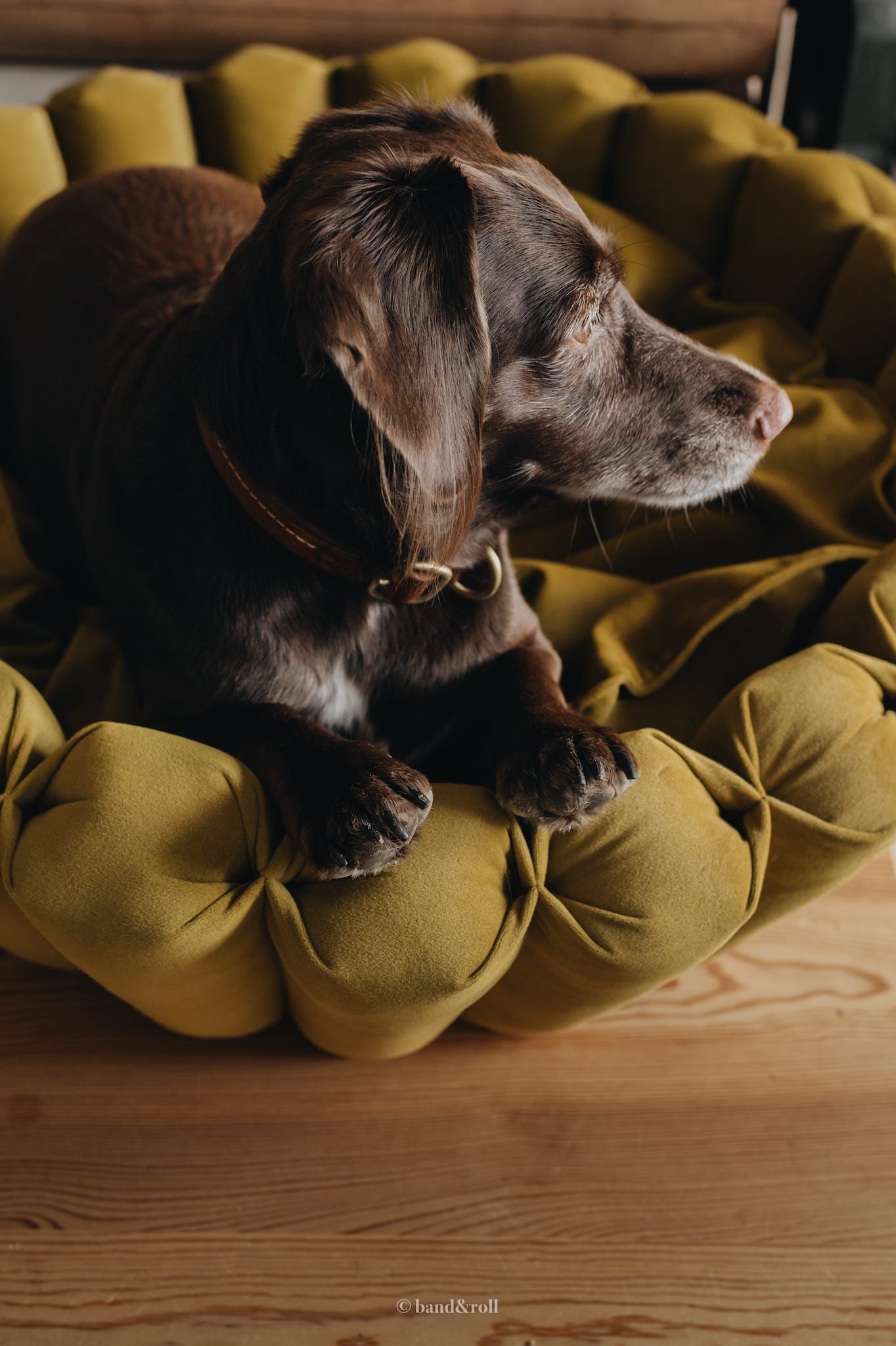 Band & Roll Haven Modern Dog Bed | Washable Cushion Dog Bed