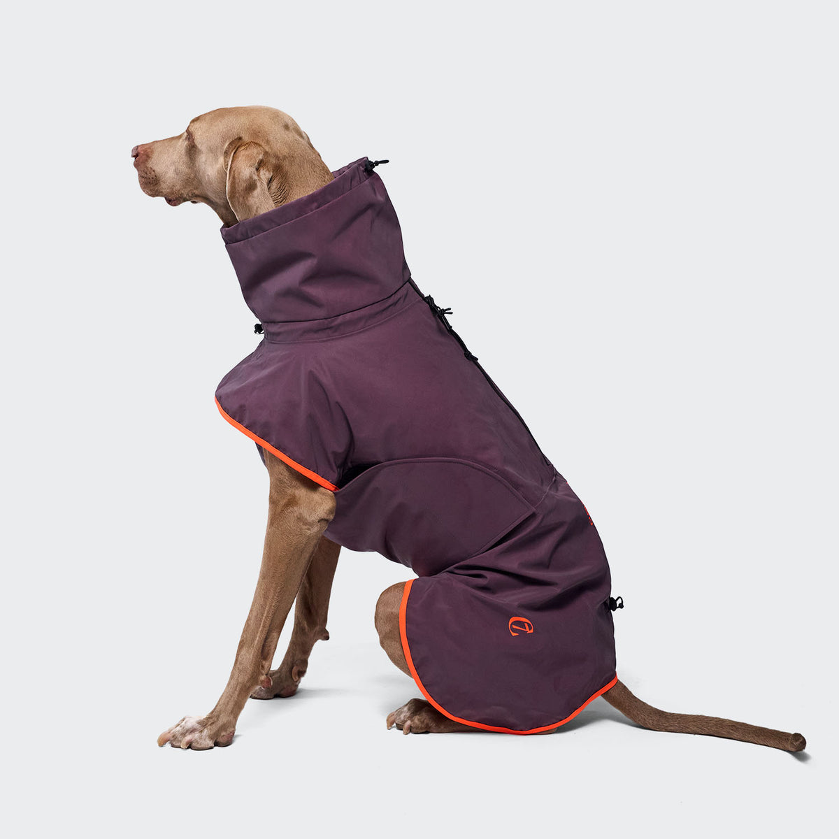 Cloud7 AKTIV fully reflective, premium windproof and water resistant active dog coat for heavy downpours