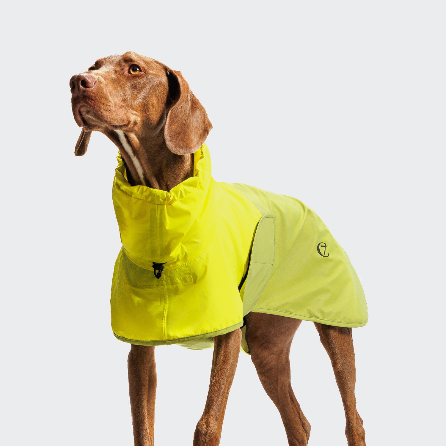 Cloud7 AKTIV reflective dog raincoat in high-visibility color, showcasing the extended shape and relaxed cut for full body coverage on a dog.