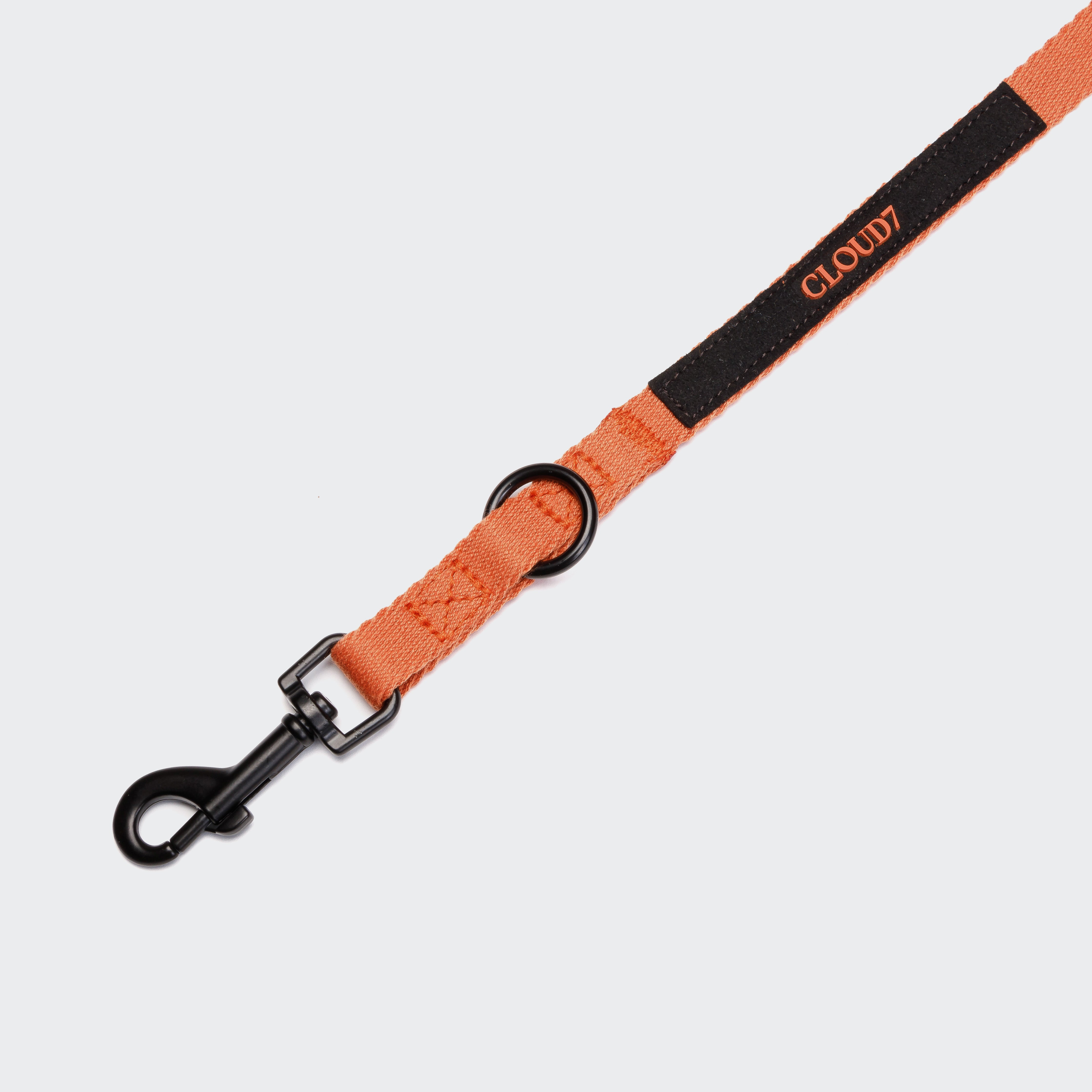 Cloud7 Holly Park adjustable dog leash in vibrant orange with matte black metal clips.
