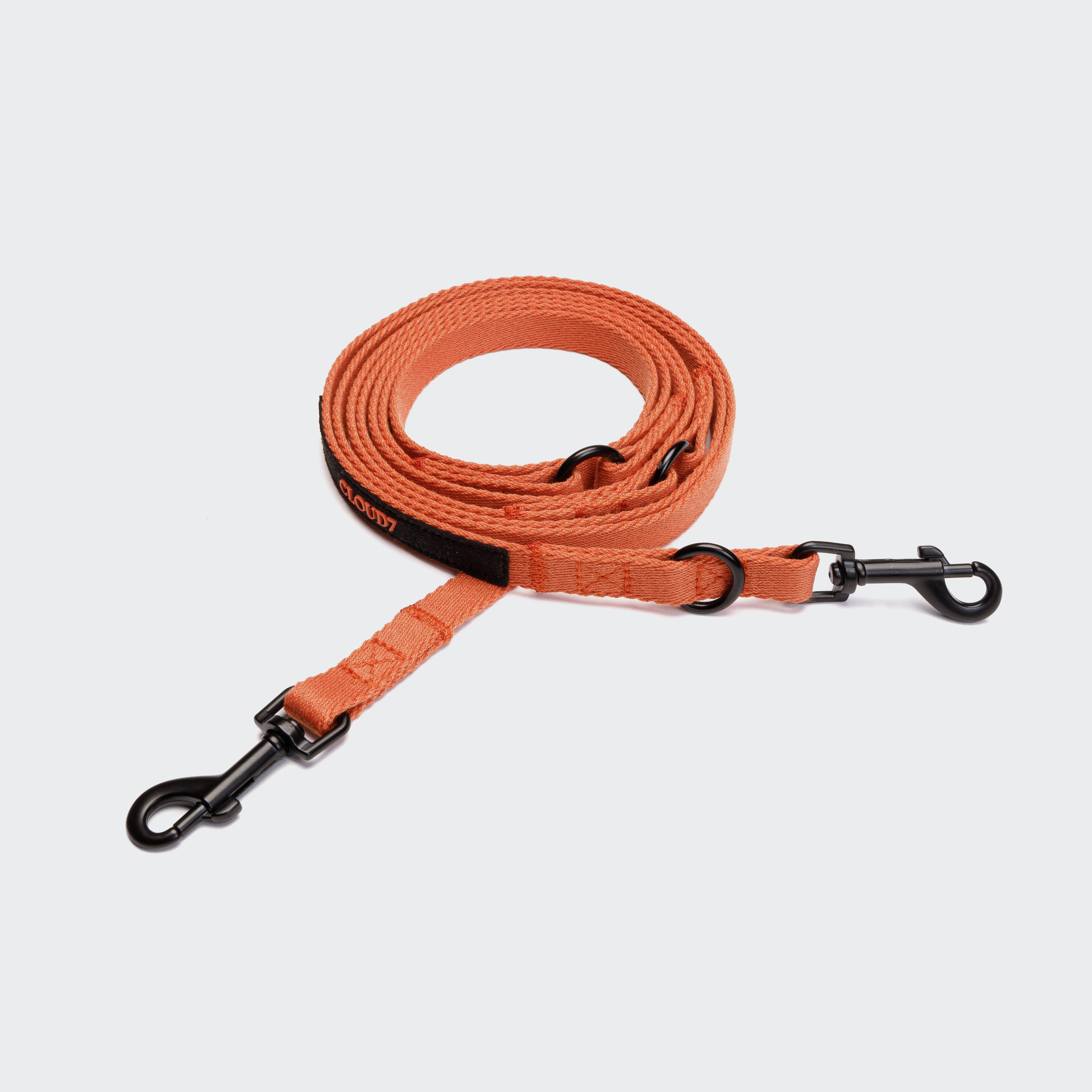 Cloud7 Holly Park adjustable dog leash in vibrant orange with matte black metal clips.