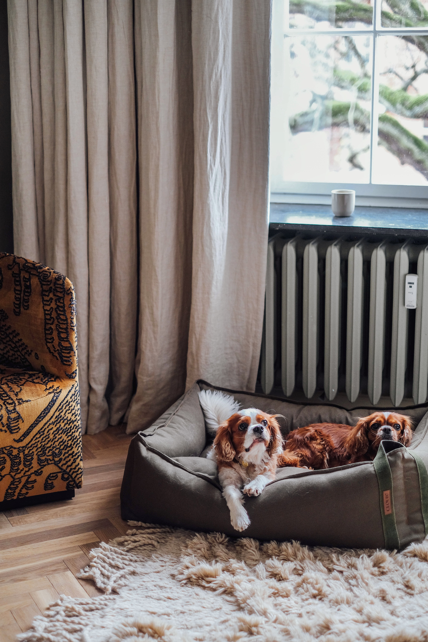 [Pre Order] Cloud7 Boost Canvas Dog Bed: Olive