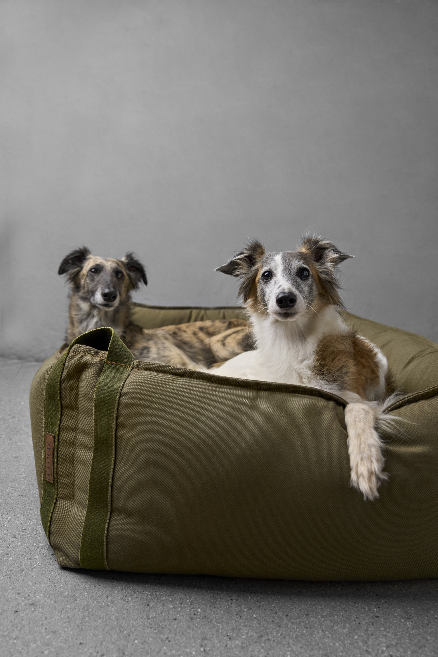 [Pre Order] Cloud7 Boost Canvas Dog Bed: Olive