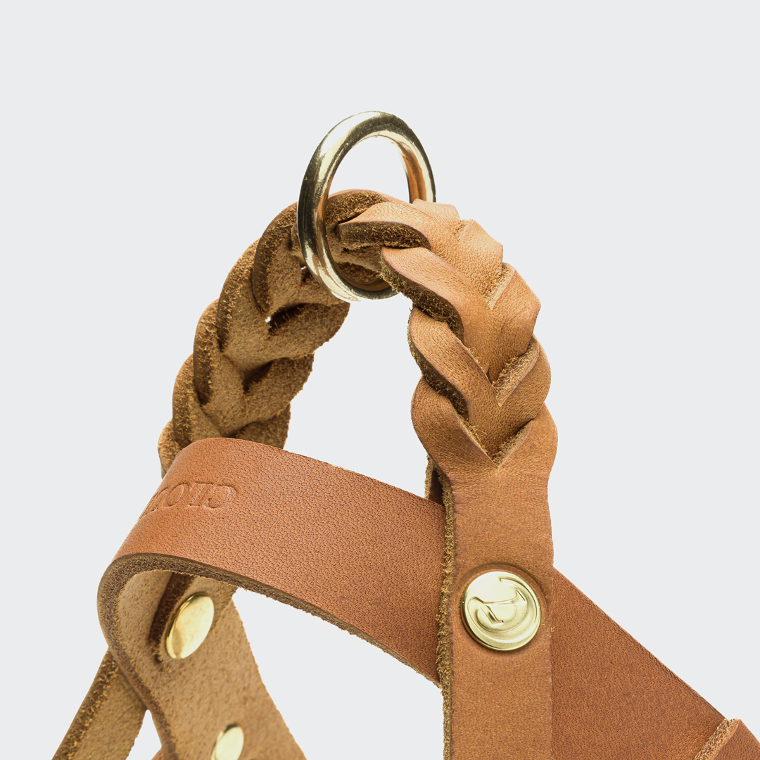 Cloud7: Central Park Leather Dog Harness, Camel with Gold Hardware