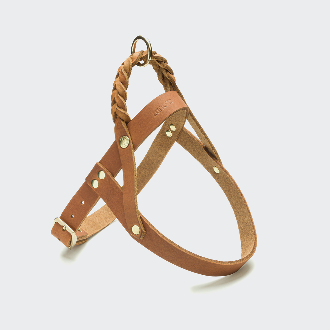 Cloud7: Central Park Leather Dog Harness, Camel with Gold Hardware