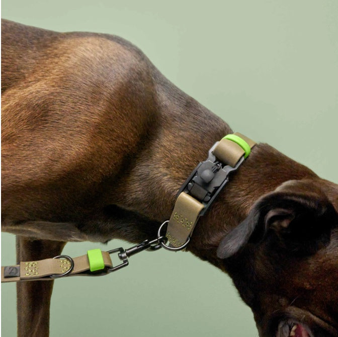 Cloud7: Long Line Dog Leash BioThane Ipanema Olive-Neongreen