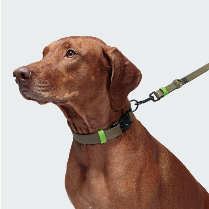 Cloud7: Adjustable Dog Leash BioThane Ipanema Black-Olive