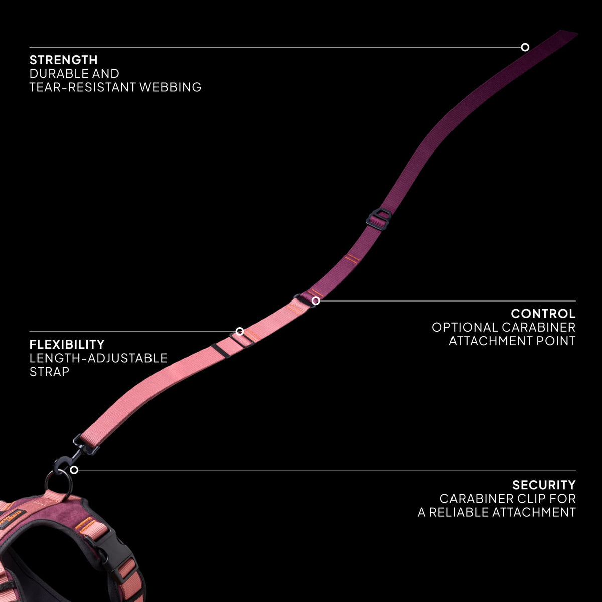 Cloud7 L-1 AKTIV hands free adjustable dog leash with heavy duty dual carabiner clips and padded hand loop