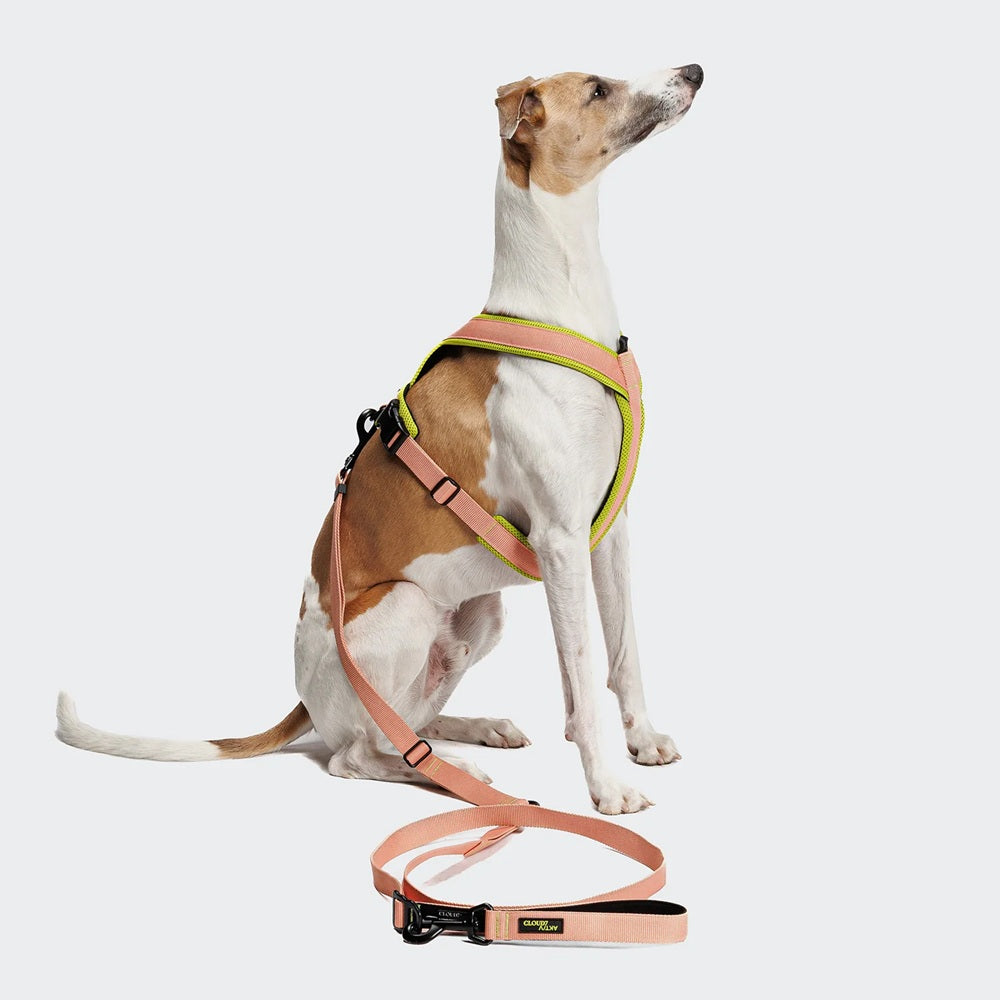 Cloud7: L-1 AKTIV Hands-Free Dog Leash, Peach